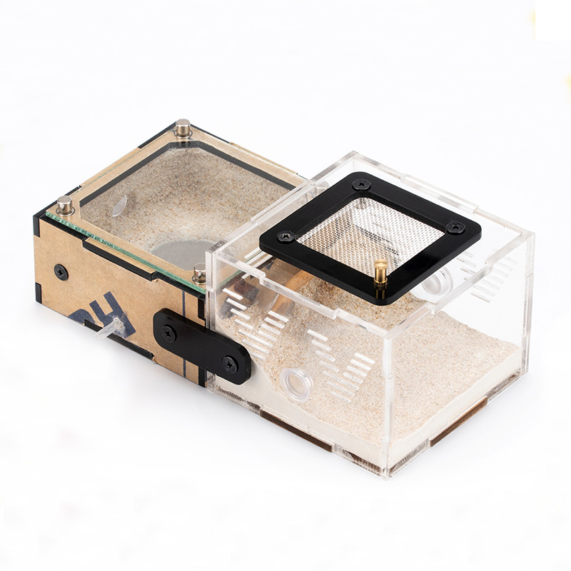 Unlimited Expansion Ant Farm H - Begonia Rex review and price