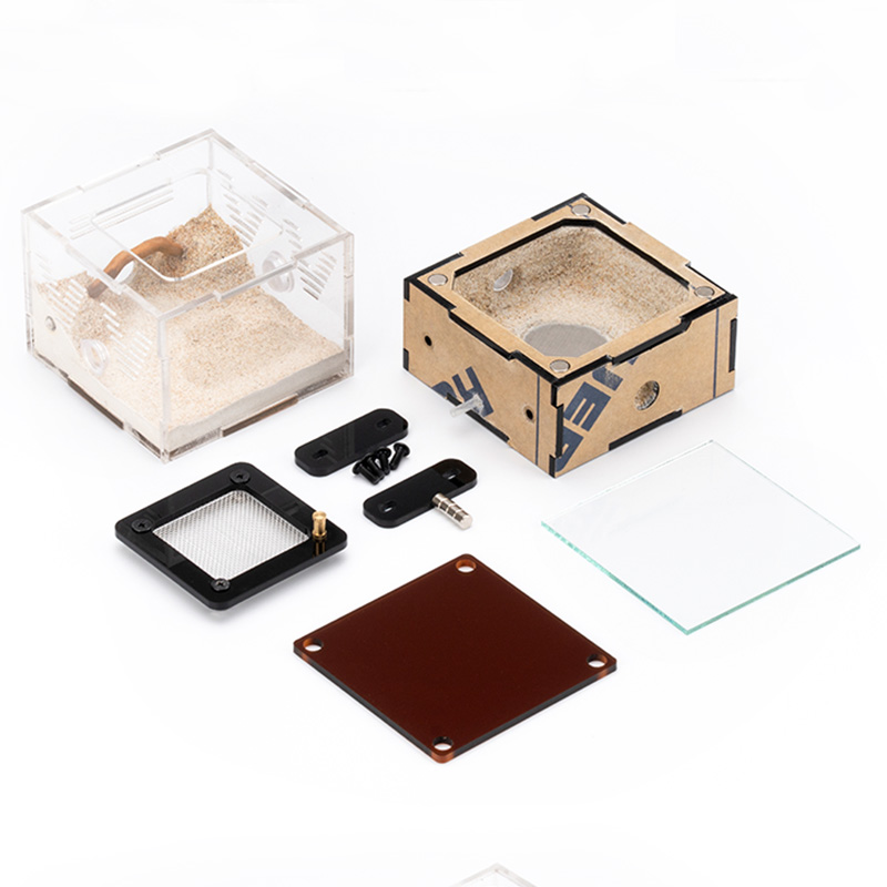 Unlimited Expansion Ant Farm H - Begonia Rex review and price